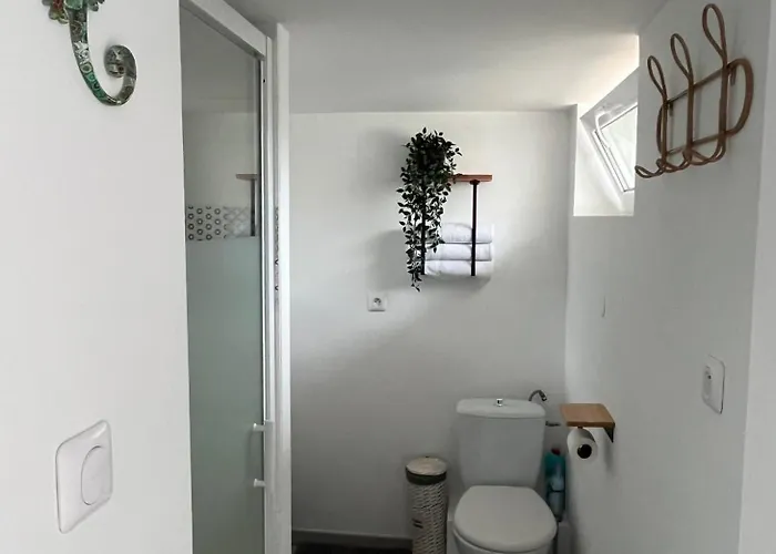 Sublime Et Paisible Maison Sur Entre Nimes Et Arles Διαμέρισμα Bellegarde (Gard)